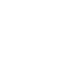 dms_white_logo